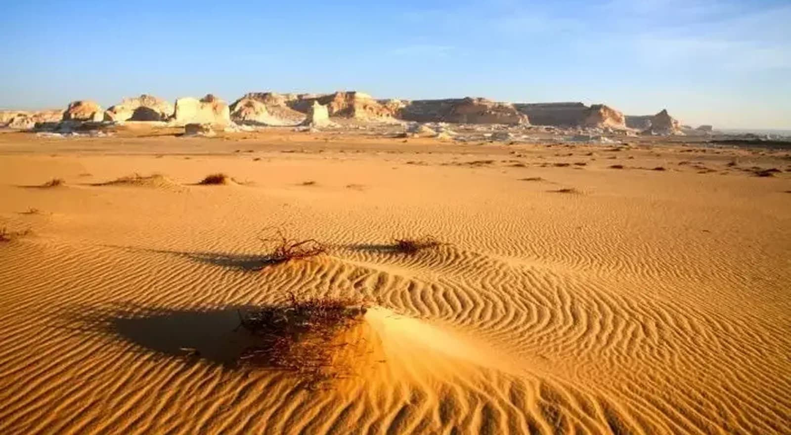 Marocco Egitto 18 Agosto